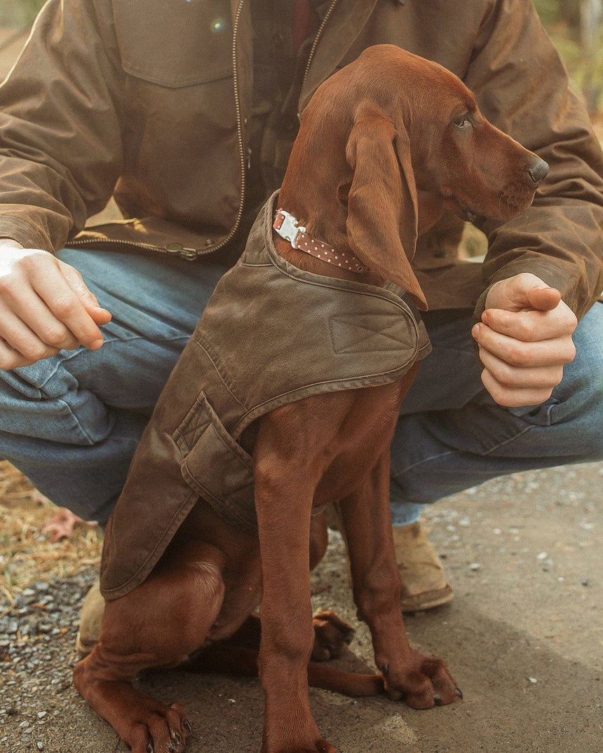 Outback Trading Company Marty Canine Coat Dog Apparel