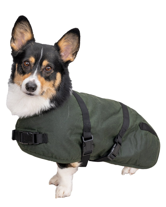 Outback Trading Company Clancy Oilskin Canine Coat Brewster Greem / XS 2892-BRG-XS 789043398830 Dog Coats